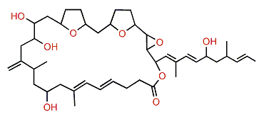 Amphidinolide M